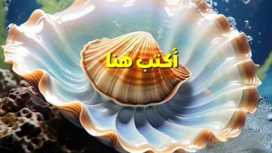 اكتب اسمك على صور قواقع واصداف